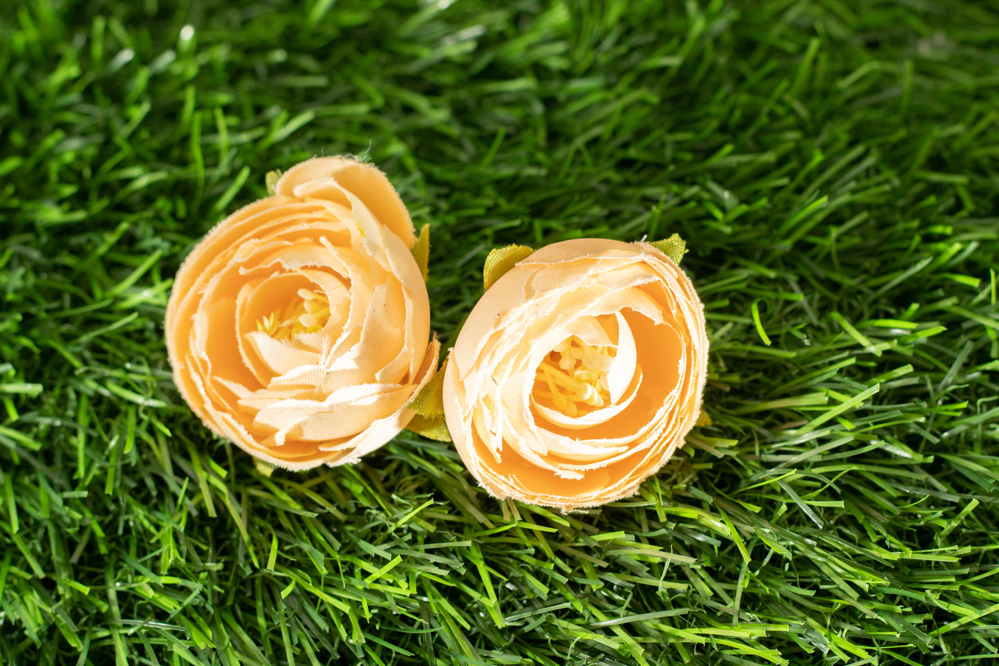 Conspicuous Flower (edit)