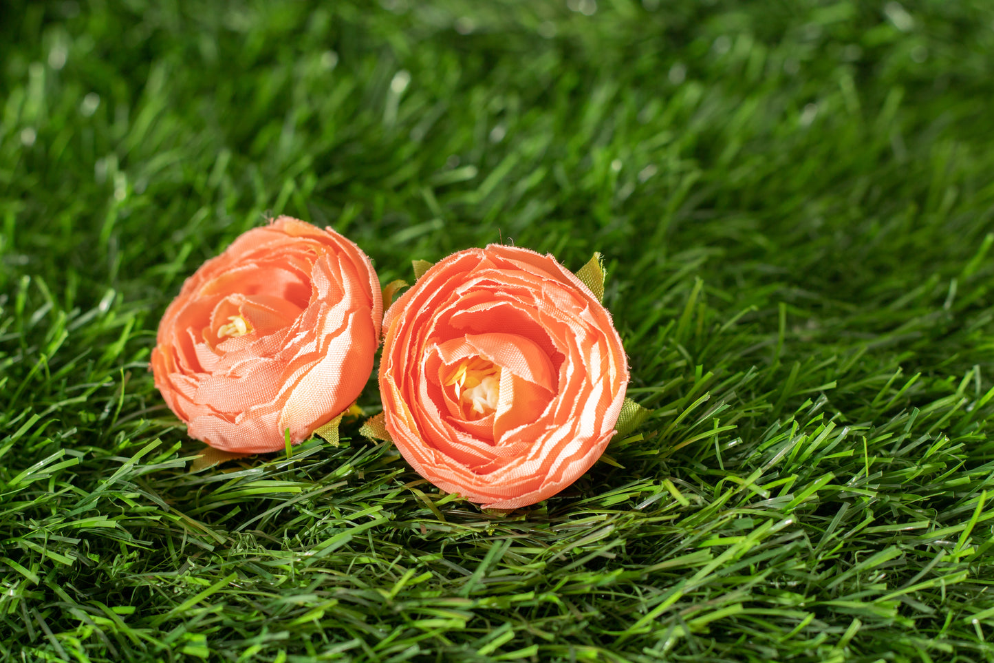 Conspicuous Flower (edit)