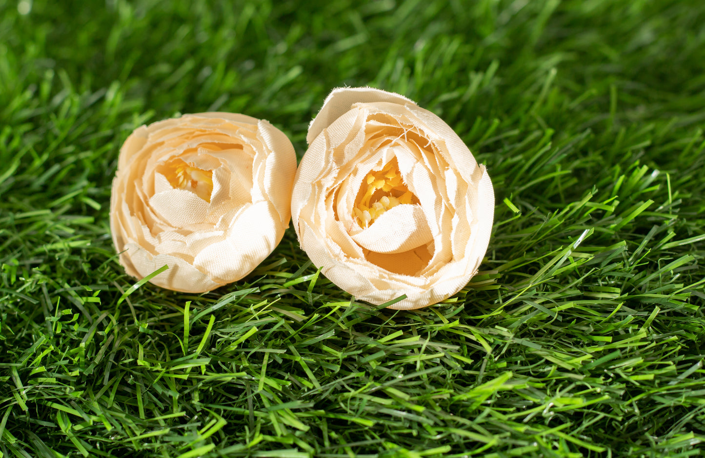 Conspicuous Flower (edit)