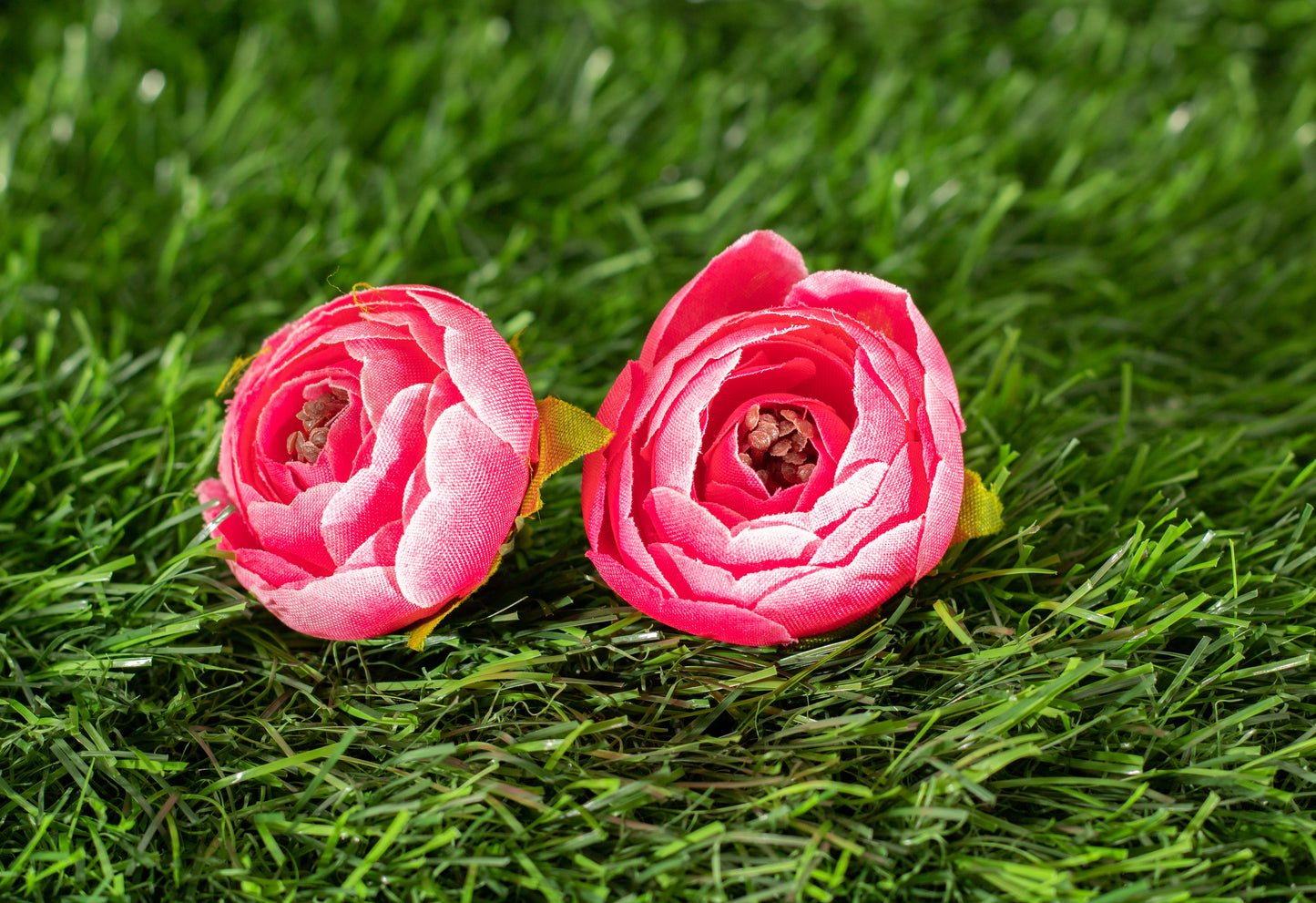 Conspicuous Flower (edit)