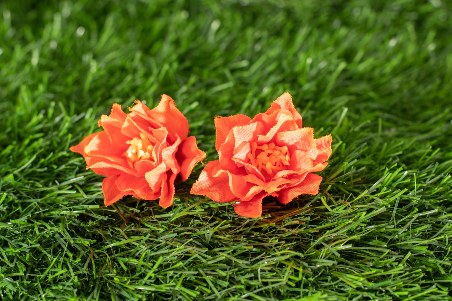 Conspicuous Flower (edit)