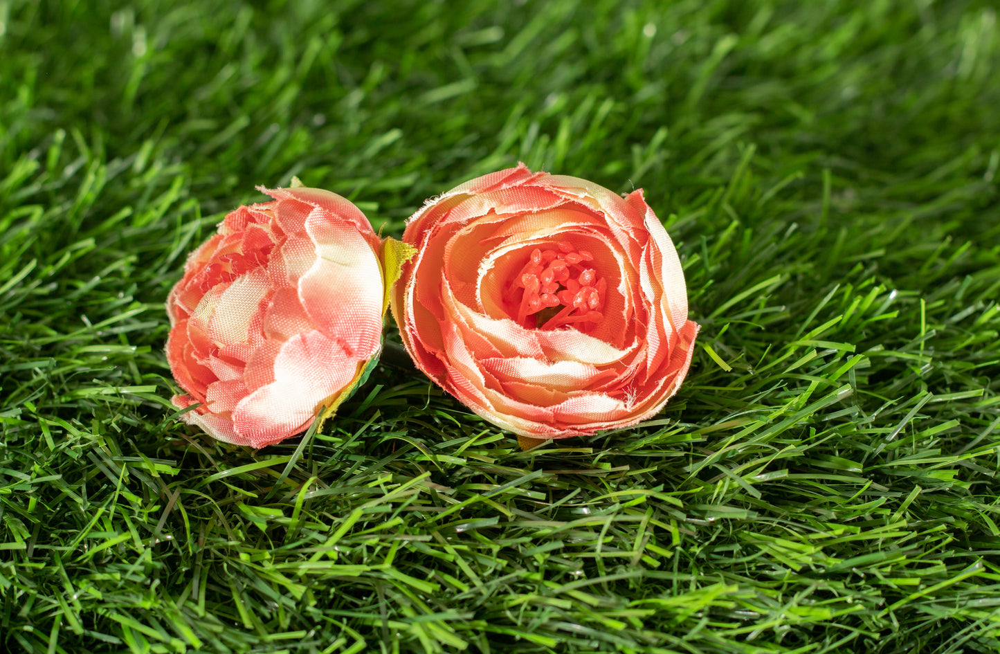 Conspicuous Flower (edit)