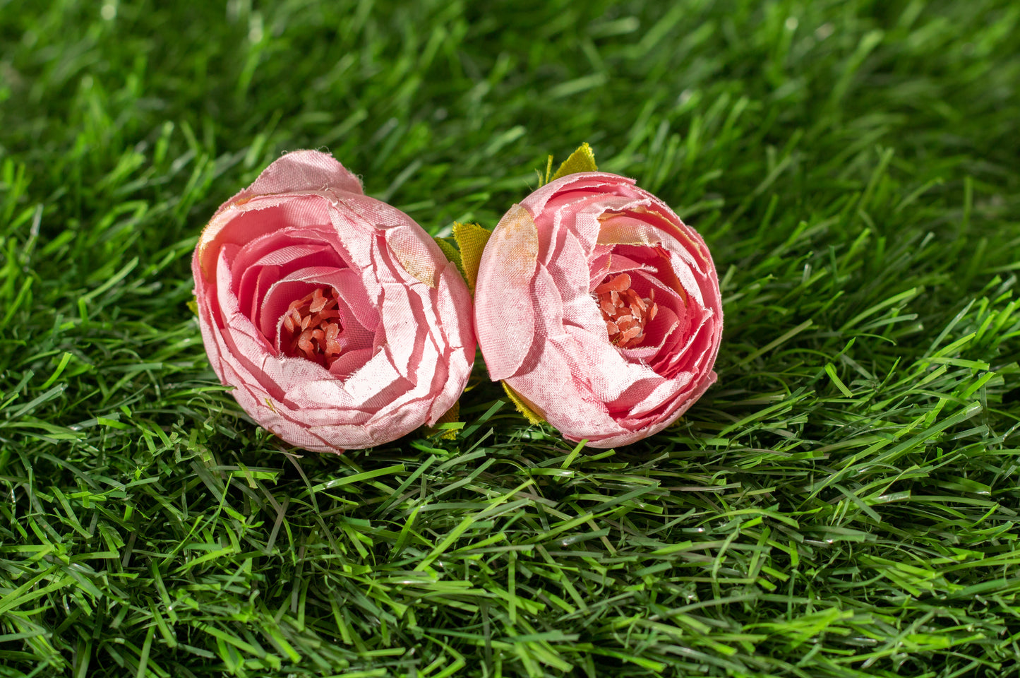 Conspicuous Flower (edit)