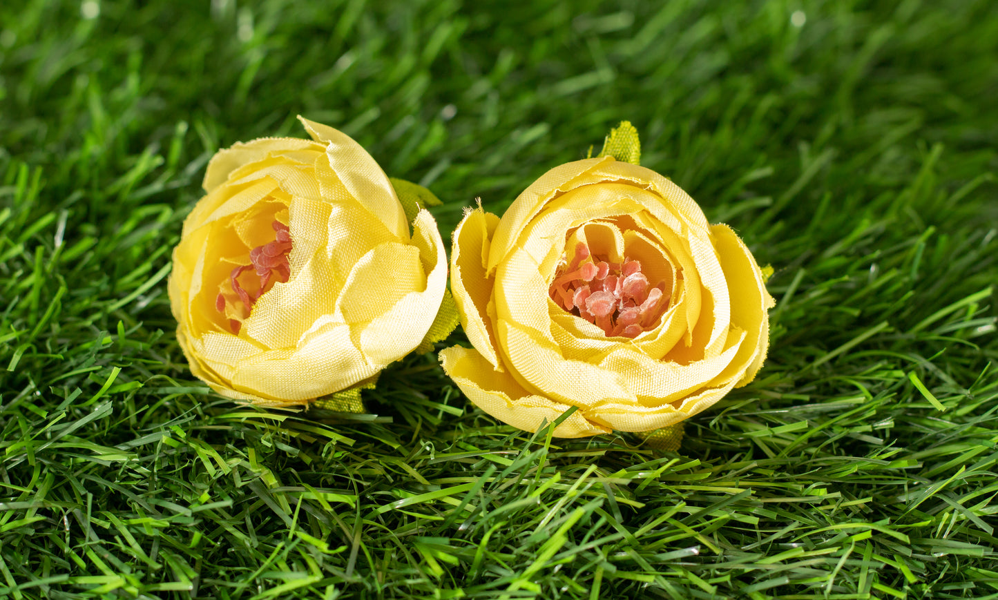 Conspicuous Flower (edit)