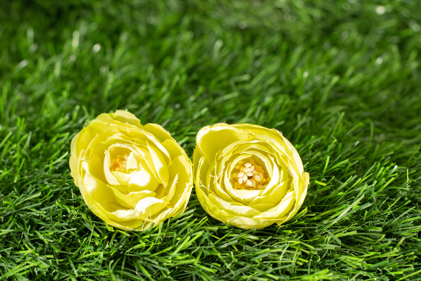 Conspicuous Flower (edit)
