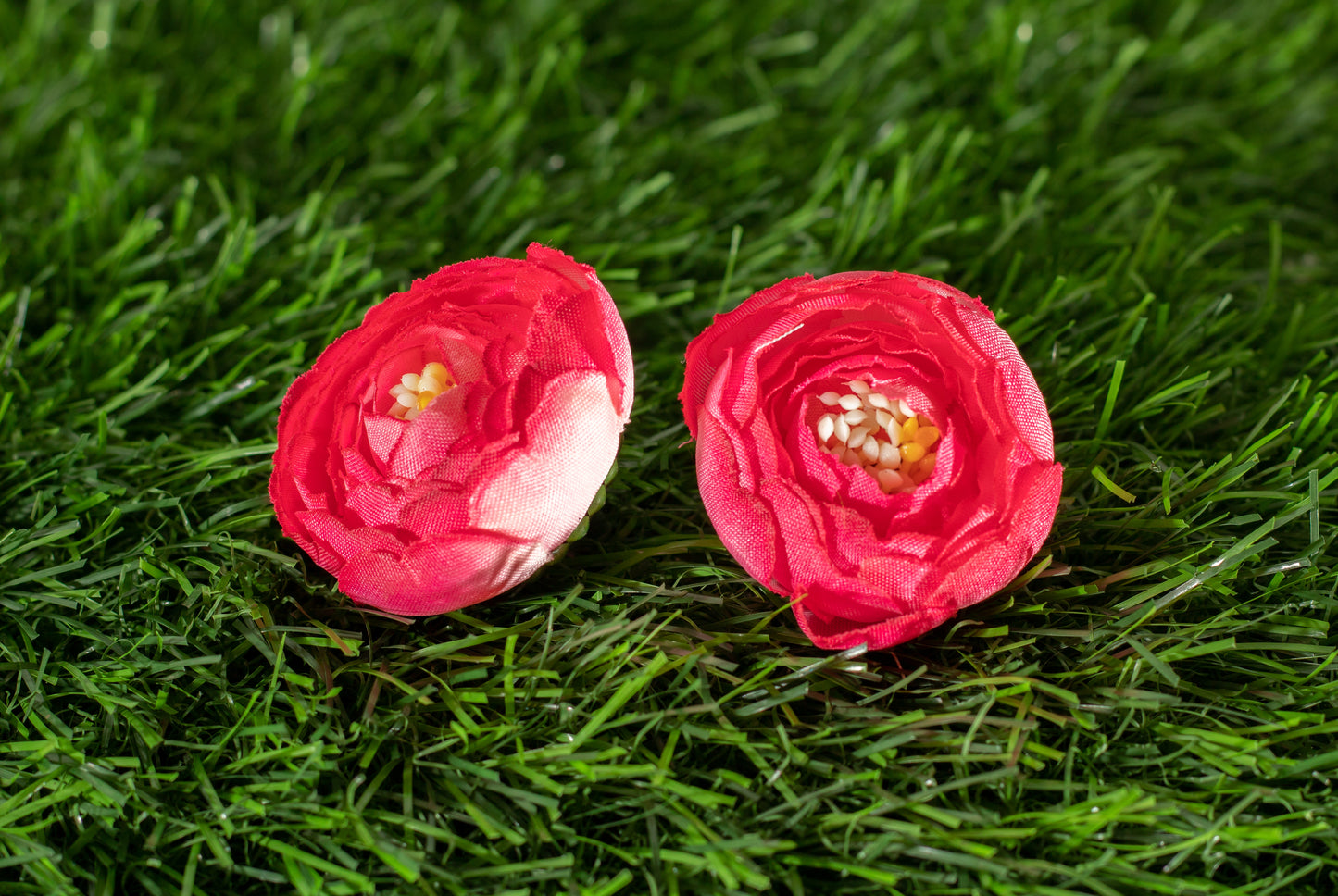 Conspicuous Flower (edit)
