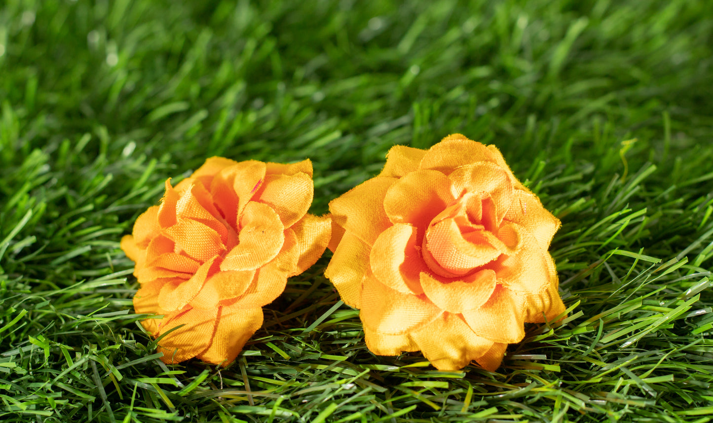 Camellia Japonica  (edit)
