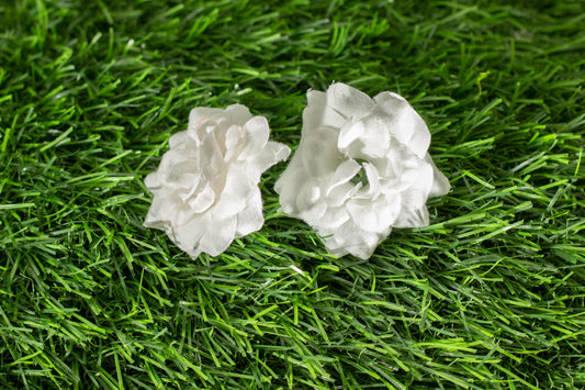Camellia Japonica  (edit)