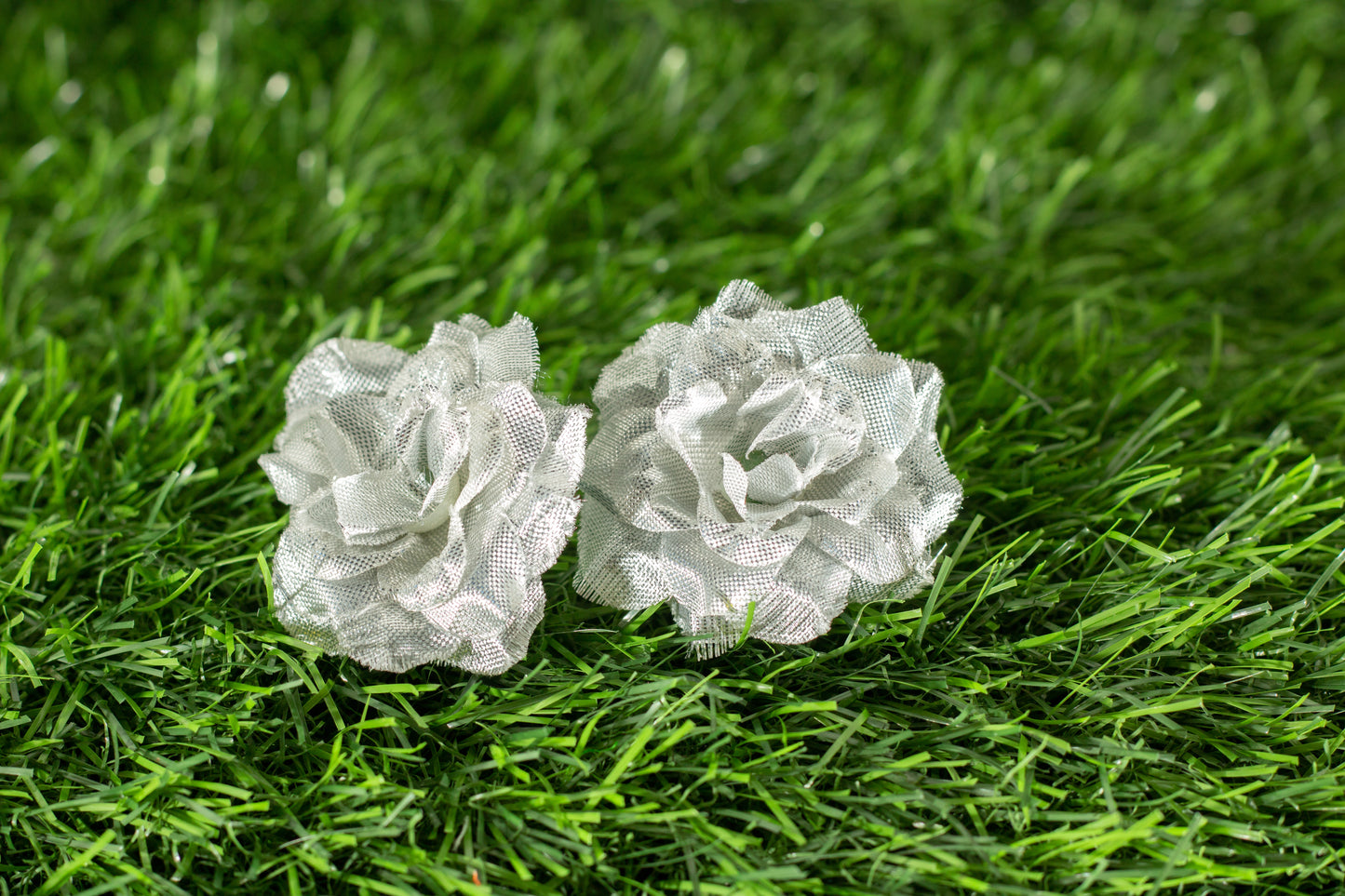 Camellia Japonica  (edit)