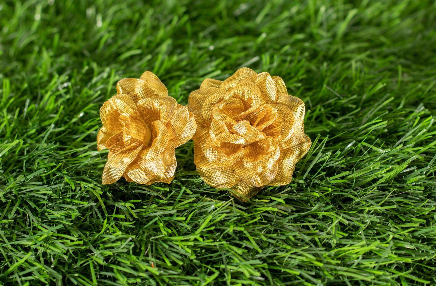 Camellia Japonica  (edit)