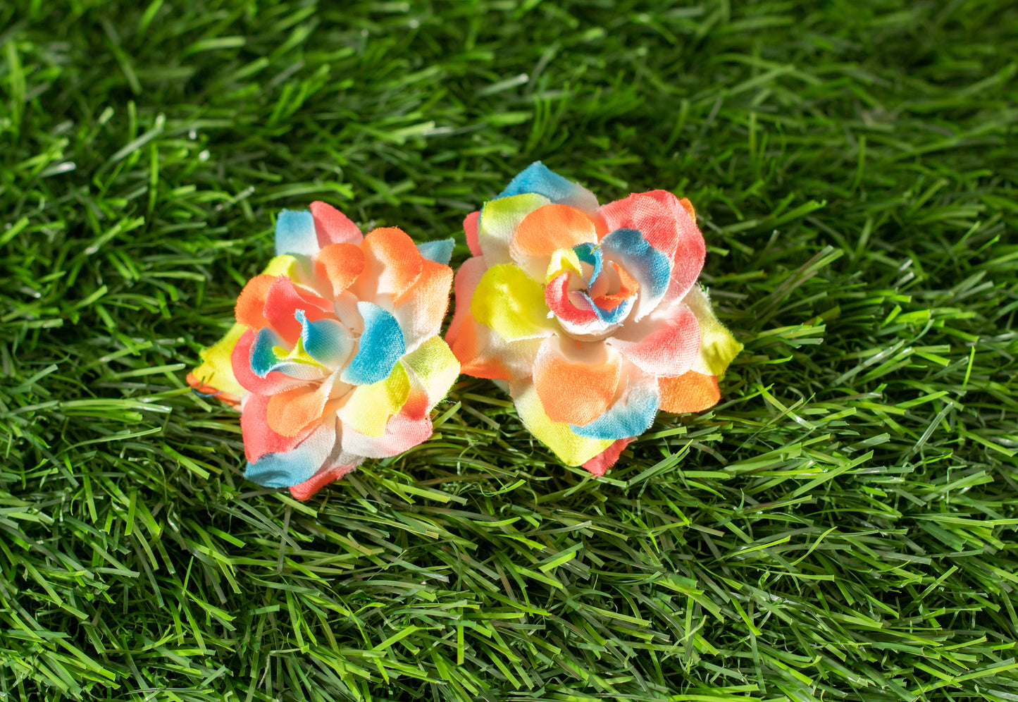 Camellia Japonica  (edit)