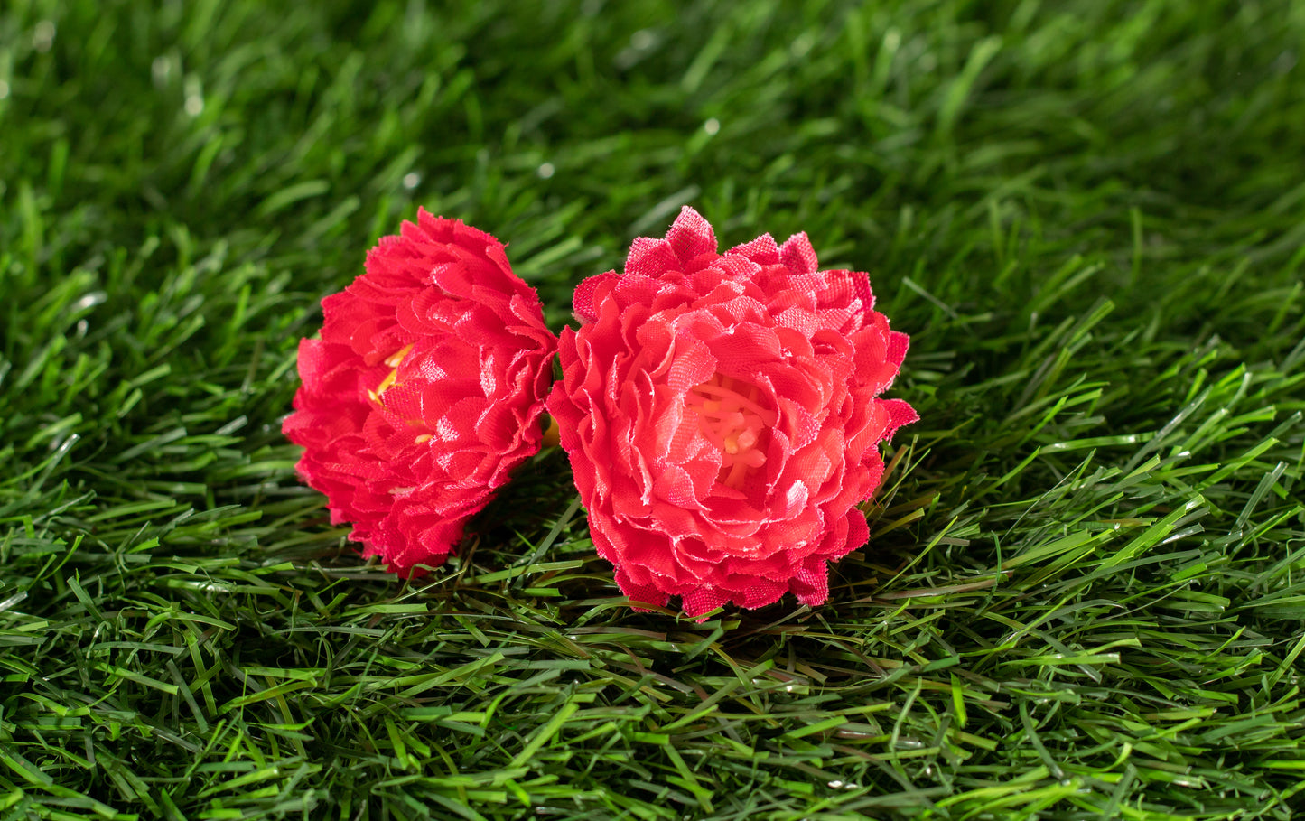 Flower of God (edit)