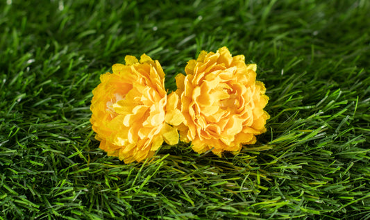 Flower of God (edit)
