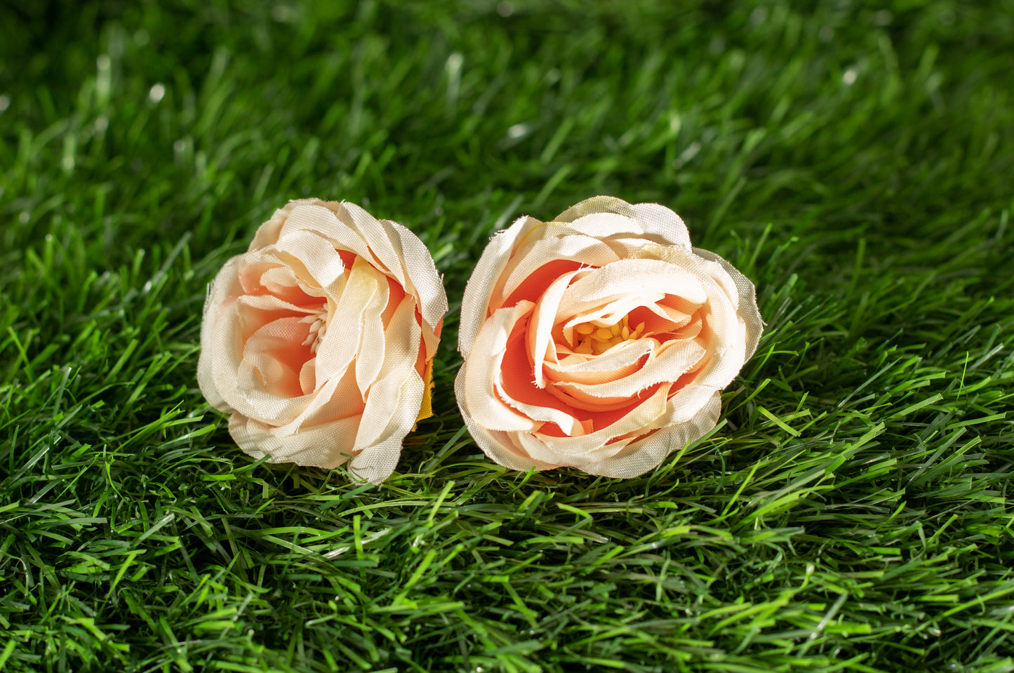 Camellias (edit)