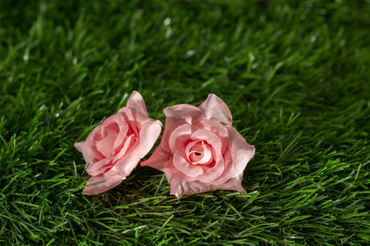 Landora Rosa (edit)