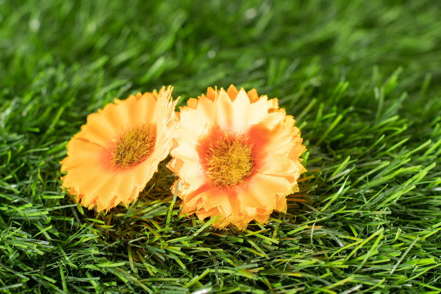 Marigold