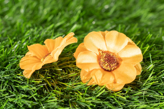 Japanese Marigold