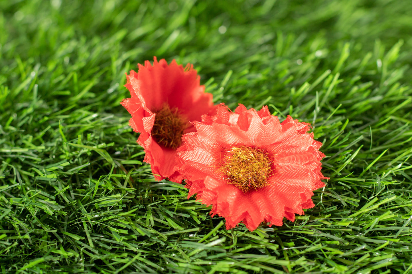 Marigold