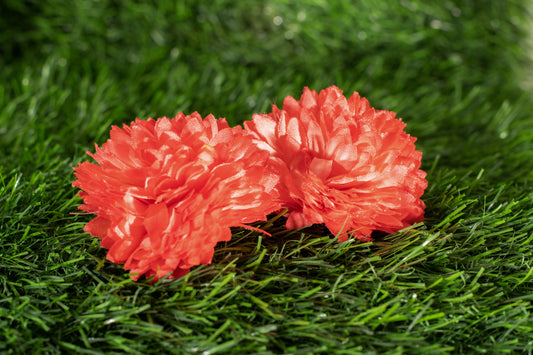 Asteraceae
