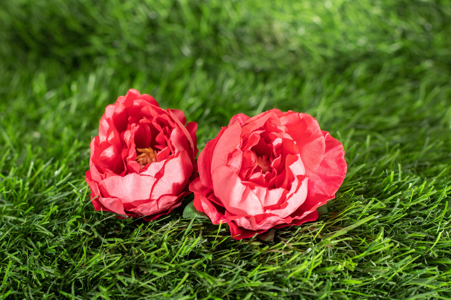 Peonies