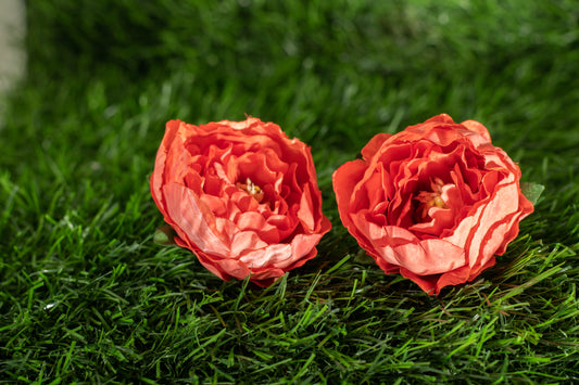 Peonies