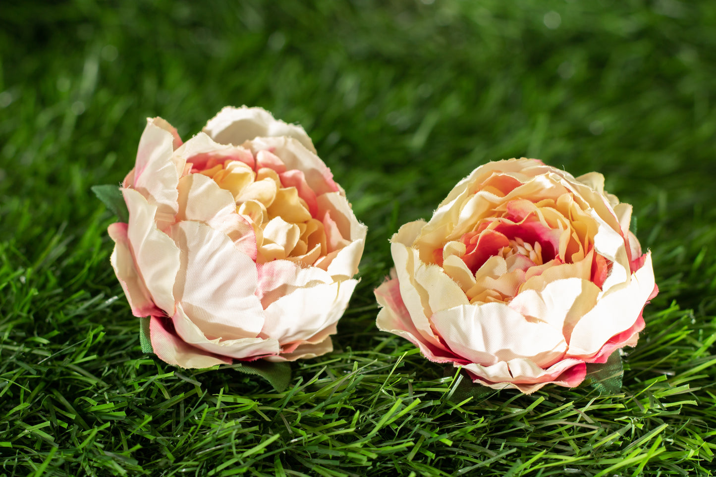 Peonies