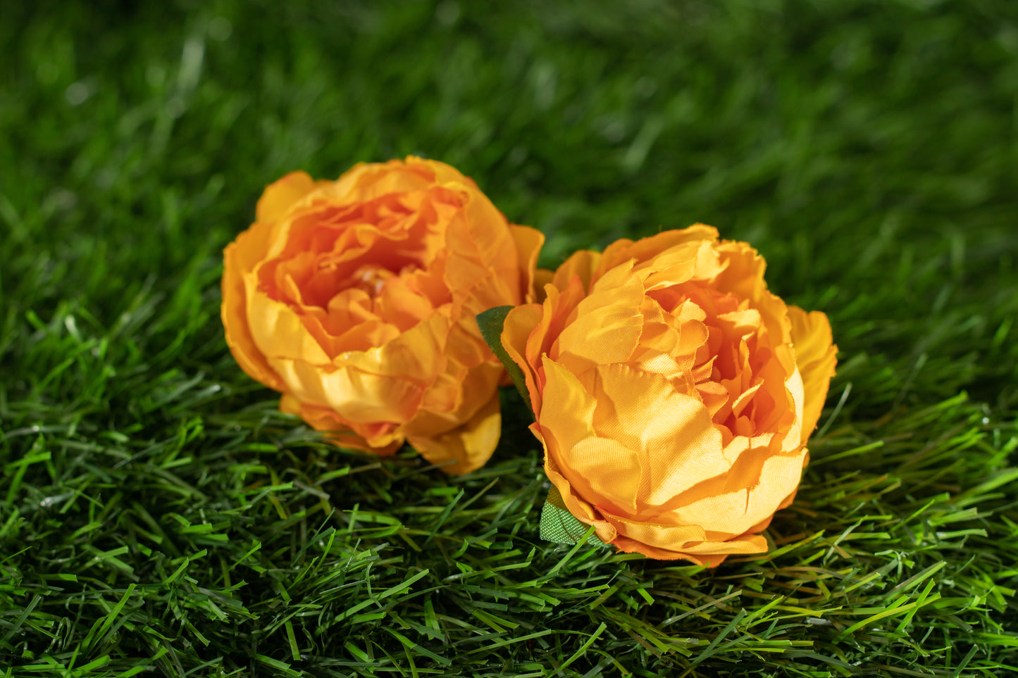 Peonies