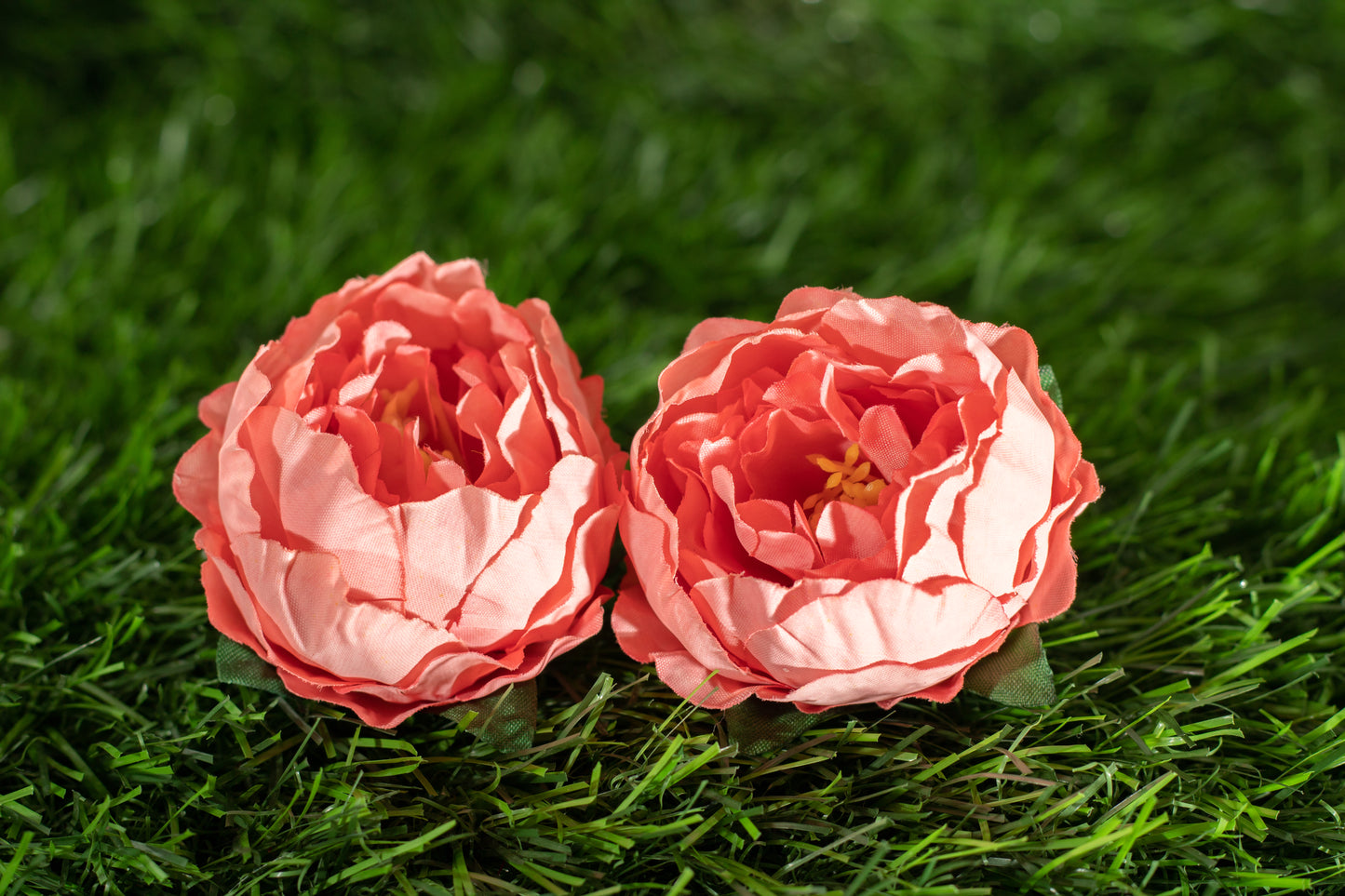 Peonies