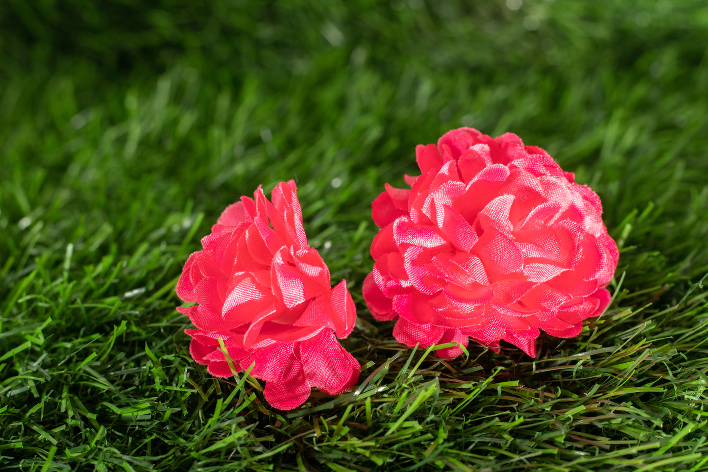 carnations