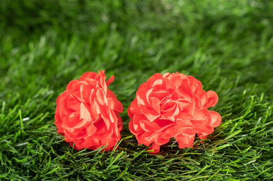 carnations