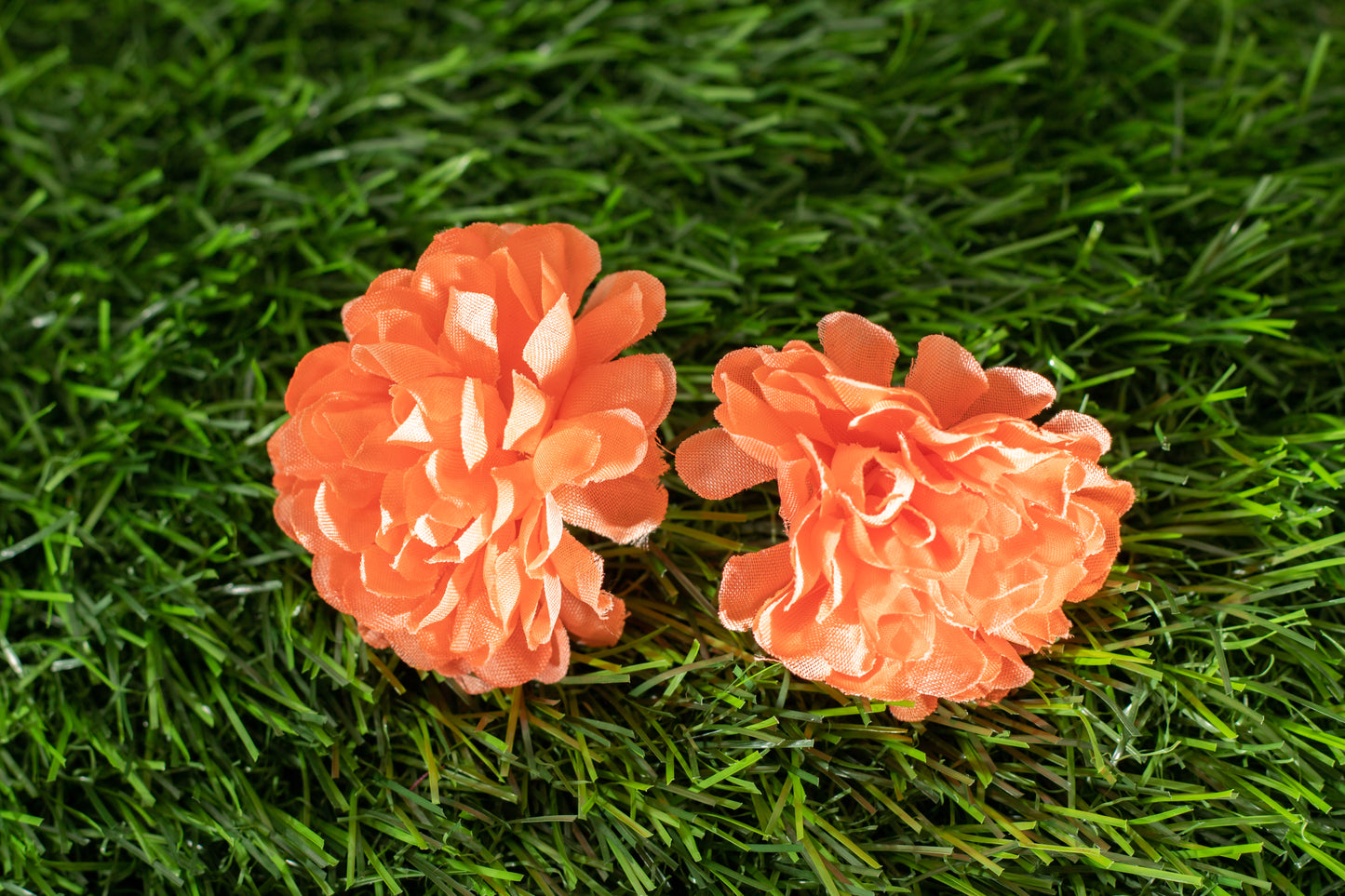 carnations