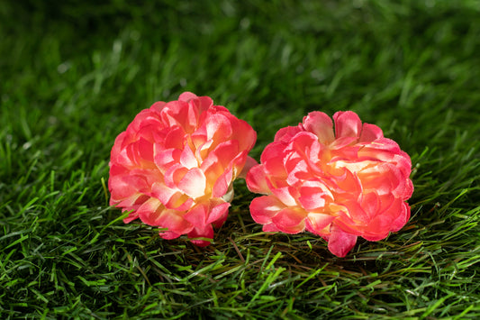 carnations