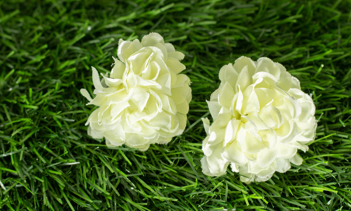 carnations