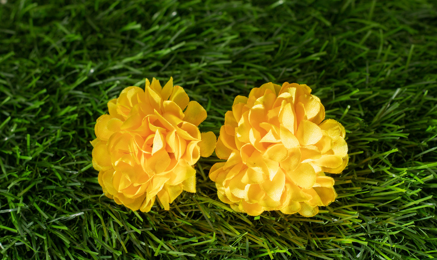 carnations