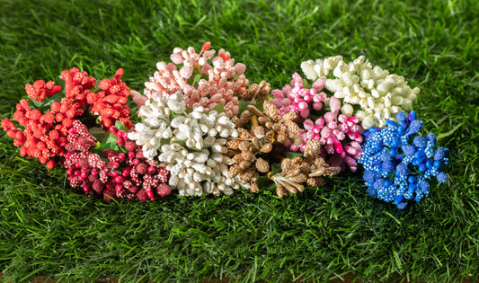 Grape Hyacinths