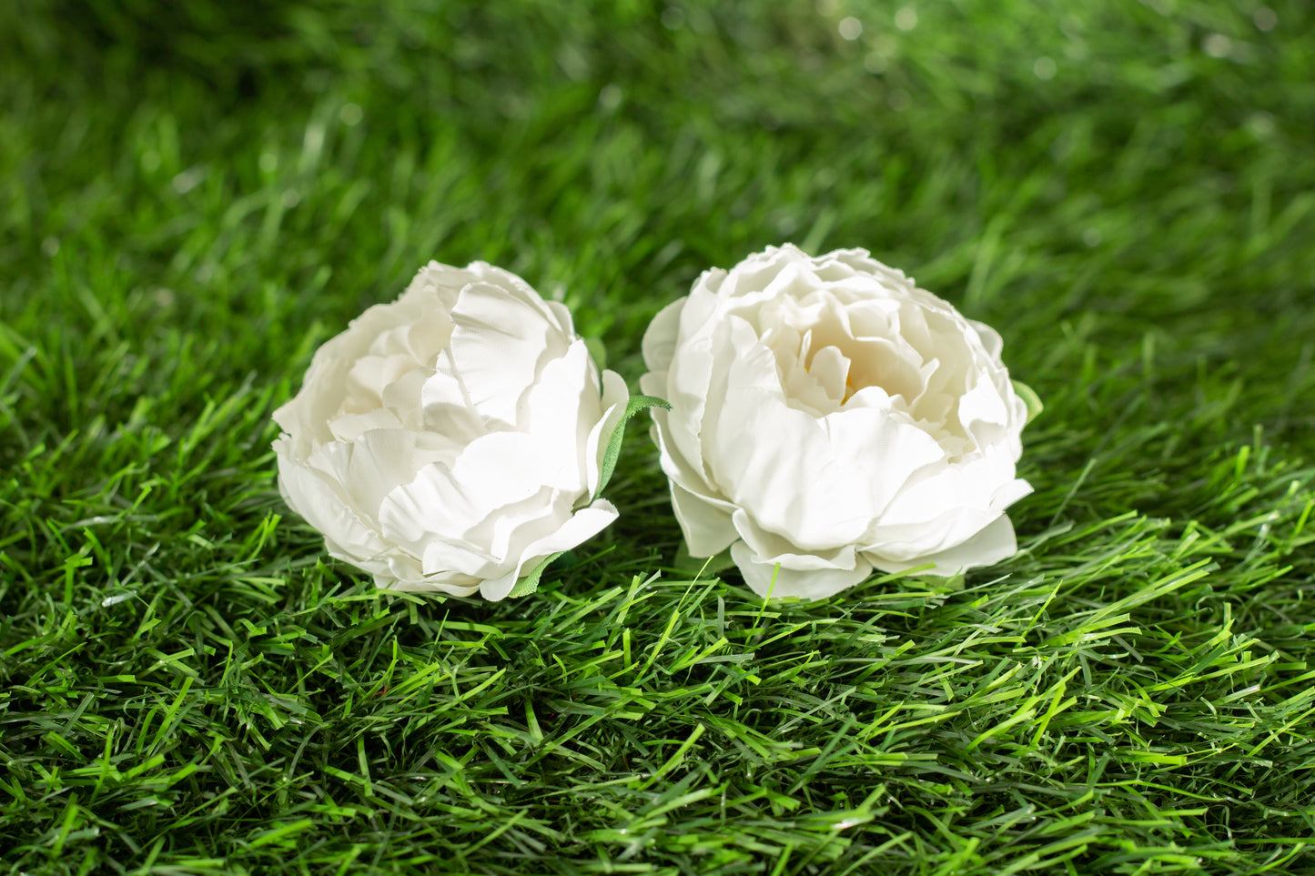 Peonies
